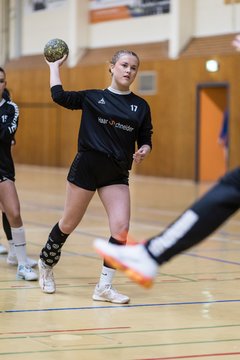 Bild 170 - wBJ TSV Ellerau - HSG Stoertal Hummeln : Ergebnis: 26:19